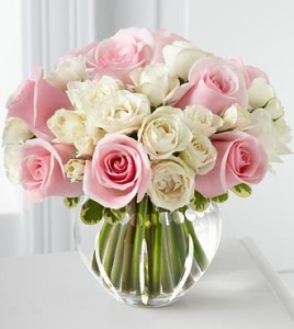 10-M9_330x370_premium
