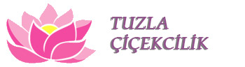 İstanbul Tuzla Çicekcilik